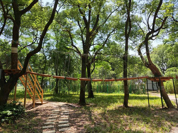 儿童游乐园设备哪里有
