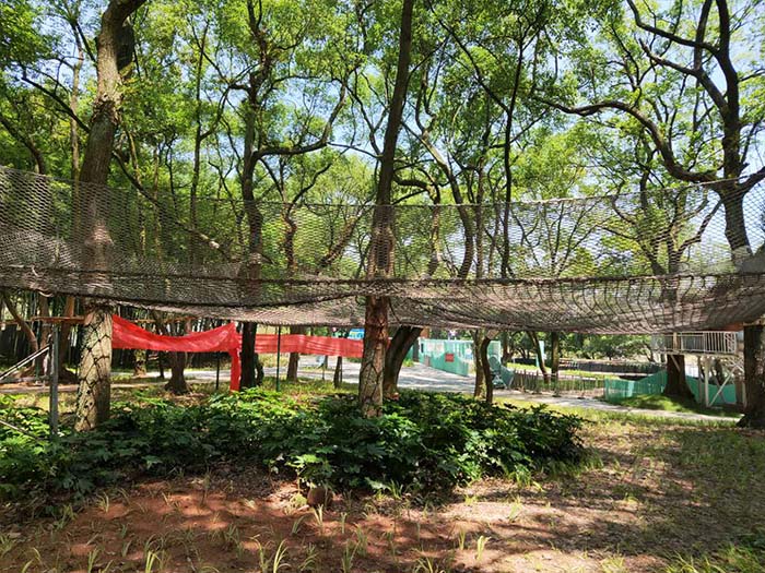 儿童游乐区设备哪里有
